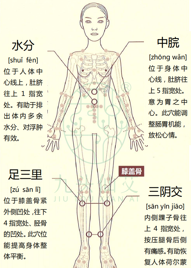 水分的准确位置图作用图片